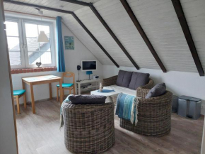 Panzer Allergiker Ferienwohnung in Burg